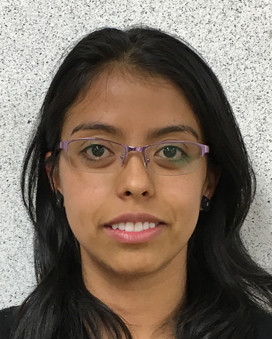 Leidy Tatiana Garcia Navarrete